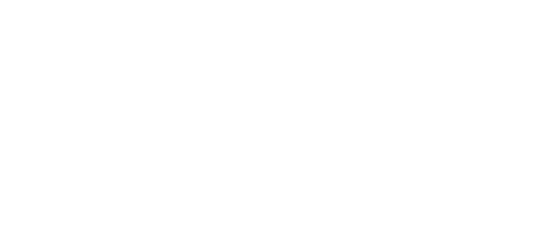 Agencia 97 — Noventa y siete